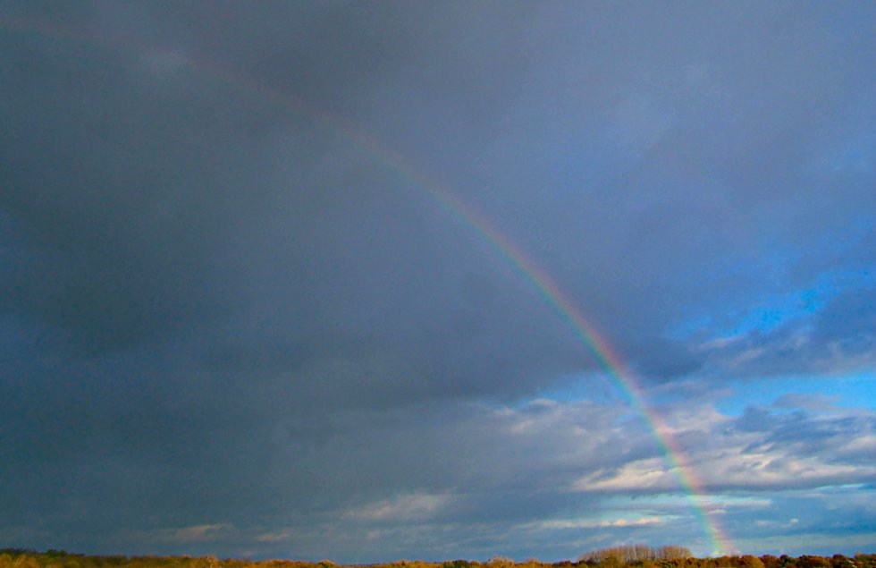 Regenbogen vor klarem Himmel im November