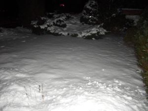 Schnee im Februar 2012