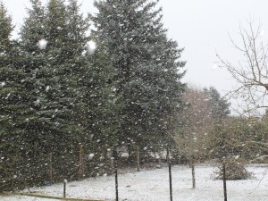 Schnee im Dezember