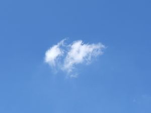 Cumulus fractus
