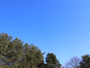 Stahlblauer Himmel im März 2013