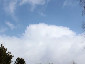 Cumulus im März