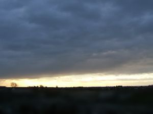 Stratocumulus am Morgen