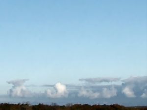 sonderbarer Cumulus