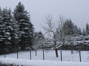 Schnee Dezember 2014