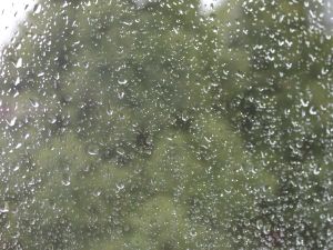 Regentrpfen am Fenster