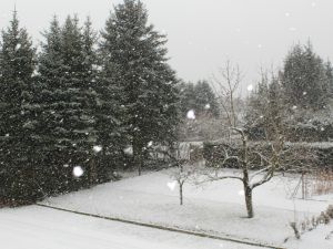 Schnee im November 2015
