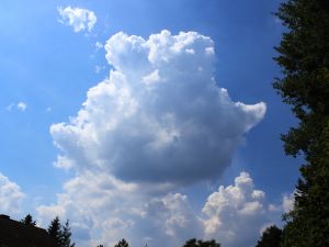 Haufenwolken am Hitzetag