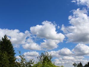 Haufenwolken unter blauem Himmel