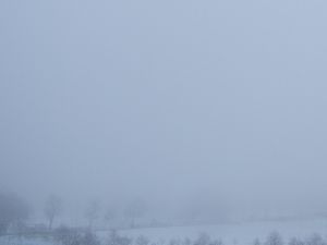 Nebel im Januar
