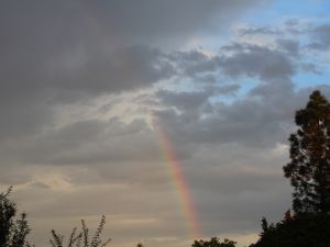 Regenbogen nach dem Gewitter