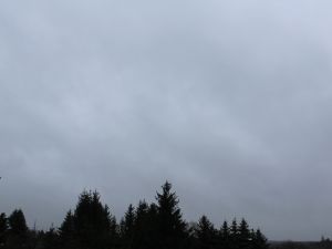 Regenwolken im Januar
