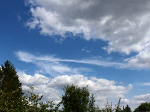 Cirrus fibratus radiatus / vertebratus