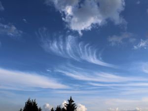 eine wunderschöne Federwolke