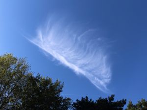 Ein hübscher Cirrus