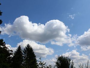 hochsommerliches Wetter im Juli 2018