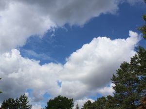 Cumulus am Mittag des 23. Juli
