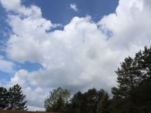Haufenwolken ballen sich am Vormittag zusammen