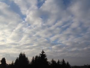 Mustergültige Haufenschichtwolken