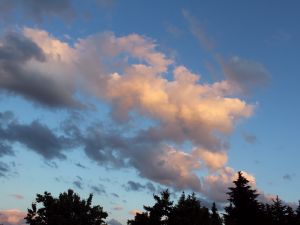 postfrontaler Cumulus im Abendlicht