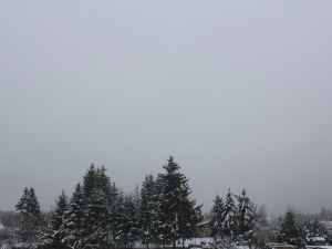 Hochnebel-Tristesse