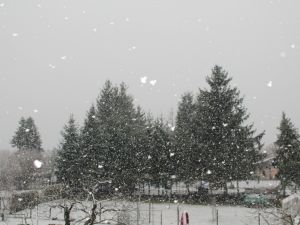 starker Schneefall kurz vor Weihnachten