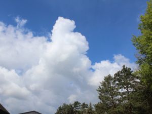 Cumulus am Vormittag im April