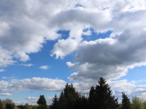 abflachende Haufenwolken