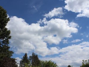 Cumulus in zunehmend warmer Luftmasse