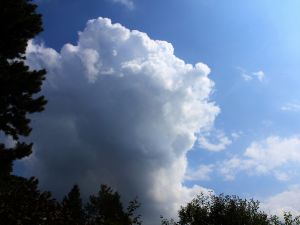 Ein Cumulus congestus, fast ein Cumulonimbus