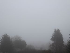 Bodennebel und Hochnebel