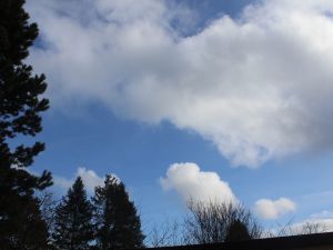 Cumulus an einem ungewöhnlich milden Tag im Februar