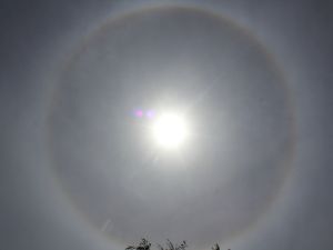 Cirrostratus mit 22°-Ring