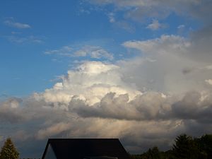 ein Cumulonimbus calvus?