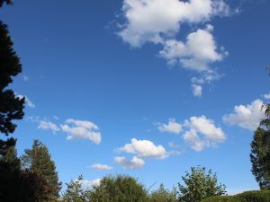 Cumulus humilis im Juli