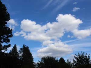 Cumulus, darüber Cirrus