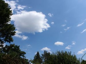 Cumulus an einem Hitzetag im Juli