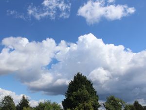 Cumulus in nordwestlicher Strömung