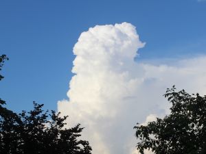 turmförmiger Cumulonimbus