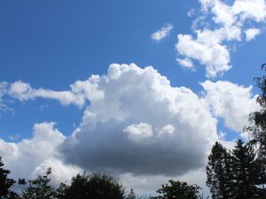 Cumulus in höhenkalter Luft