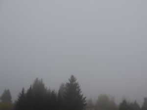 Nebel des Grauens