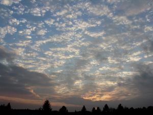 Altocumulus am Abend