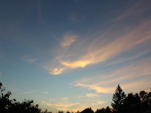 Cirrus leuchtet am Abend auf