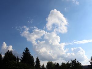 Auflockerung nach dem Regen