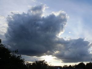 Cumulus in Polarluft