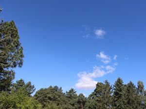 Cumulus und Eiswolken