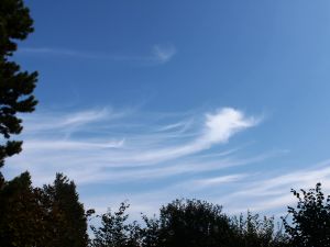 Cirrus fibratus und uncinus