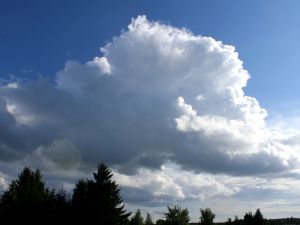 ein solitärer Cumulus im Süden