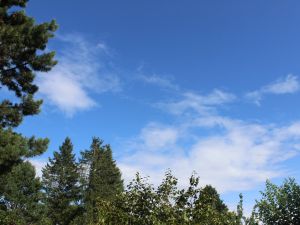 ein sonniger Nachmittag