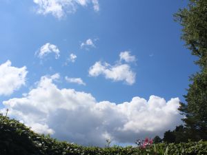 harmlose Haufenwolken an einem Sommertag im August 2025